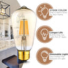 Image of 6 Pack Dimmable LED Edison Bulbs - 2700K with Amber Tint