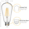 Image of Vintage LED Edison Light Bulbs - 2700K Soft White