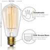 Image of 4 Pack Vintage Incandescent Edison Bulbs - ST64 - 2100K Amber Warm